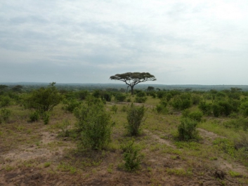 Urlaub Afrika – Bild 248 von 352