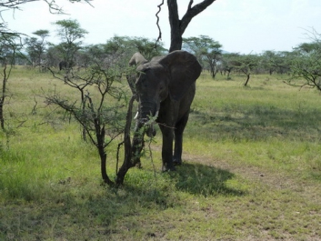 Urlaub Afrika – Bild 232 von 352