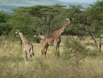 Urlaub Afrika – Bild 214 von 352