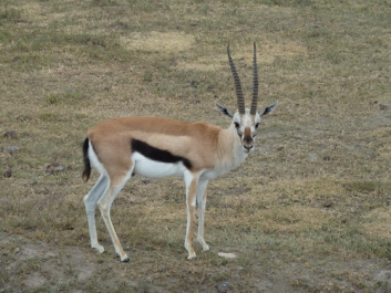 Urlaub Afrika – Bild 181 von 352