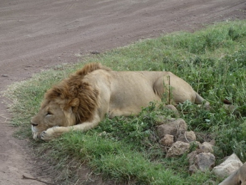 Urlaub Afrika – Bild 175 von 352