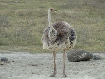 Urlaub Afrika – Bild 43 von 352