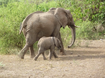 Urlaub Afrika – Bild 14 von 352