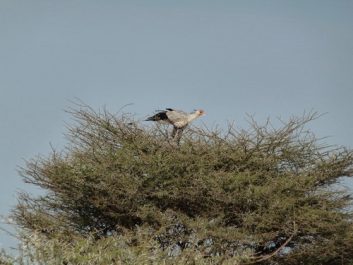 Urlaub Afrika – Bild 212 von 352