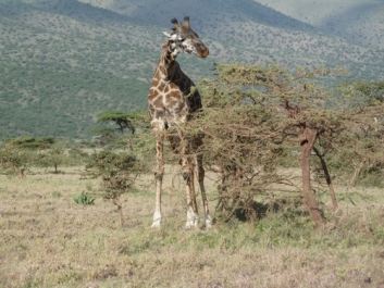 Urlaub Afrika – Bild 48 von 352