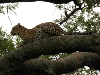 Urlaub Afrika – Bild 340 von 352