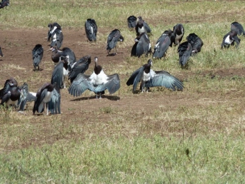 Urlaub Afrika – Bild 37 von 352