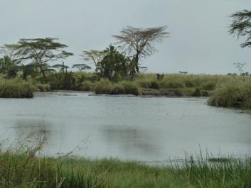 Urlaub Afrika – Bild 227 von 352