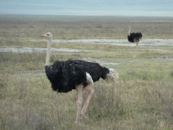 Urlaub Afrika – Bild 44 von 352