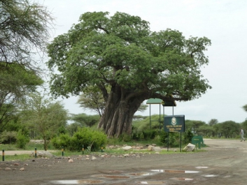 Urlaub Afrika – Bild 240 von 352