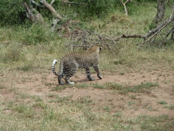 Urlaub Afrika – Bild 197 von 352