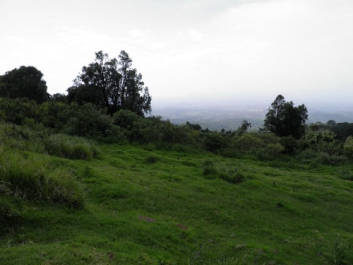 Urlaub Afrika – Bild 282 von 352