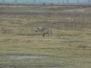 Urlaub Afrika – Bild 179 von 352