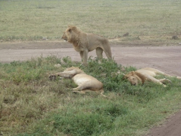 Urlaub Afrika – Bild 45 von 352