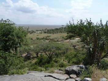 Urlaub Afrika – Bild 193 von 352