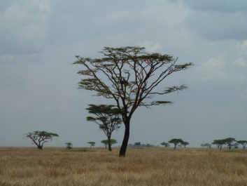 Urlaub Afrika – Bild 224 von 352