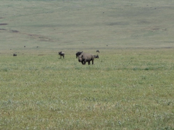 Urlaub Afrika – Bild 36 von 352