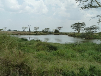Urlaub Afrika – Bild 226 von 352