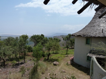 Urlaub Afrika – Bild 151 von 352