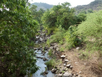 Urlaub Afrika – Bild 11 von 352