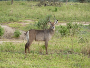 Urlaub Afrika – Bild 242 von 352