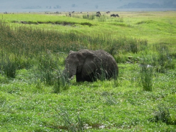 Urlaub Afrika – Bild 178 von 352