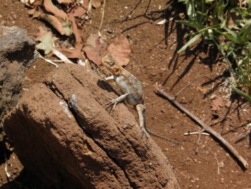 Urlaub Afrika – Bild 273 von 352