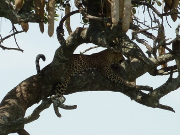 Urlaub Afrika – Bild 220 von 352