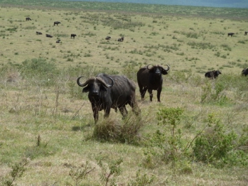Urlaub Afrika – Bild 168 von 352