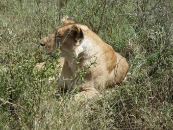Urlaub Afrika – Bild 39 von 352