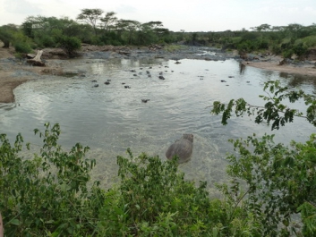 Urlaub Afrika – Bild 59 von 352
