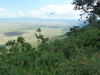 Urlaub Afrika – Bild 25 von 352
