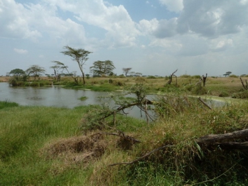 Urlaub Afrika – Bild 225 von 352