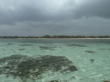 Urlaub Afrika – Bild 267 von 352