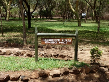 Urlaub Afrika – Bild 146 von 352