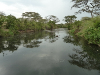 Urlaub Afrika – Bild 203 von 352