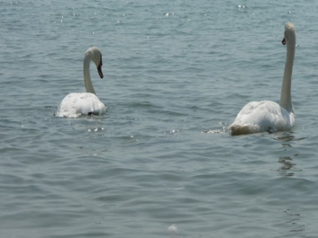 Urlaub Italien – Bild 19 von 26